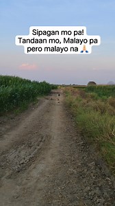 493K views · 10K reactions | Tara sa comsec magbayanihan tayo para madagdagan plowerz mo #highlightseveryone #highlightseveryone #followersreels #engagement #followers #content | Mae Conde | Facebook