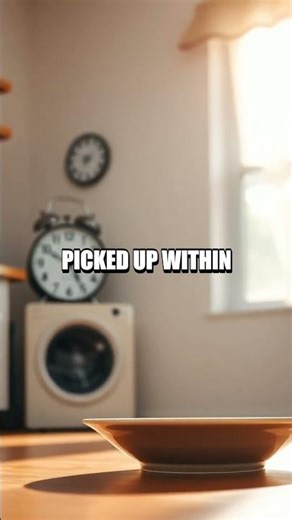 Five-Second Rule Under the Microscope