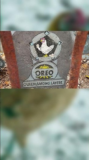 The Tragic Ghosts of Key West; FL, Robert the Haunted Doll