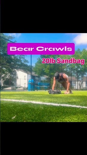 Total Body Exercise: Bear Crawls #totalbodyworkout #bearcrawl #sandbagtraining #coreworkout