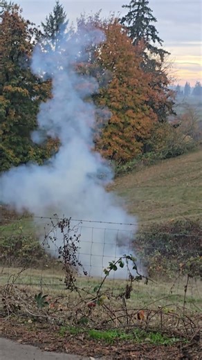 The Annual Halloween Pumpkin + Tannerite