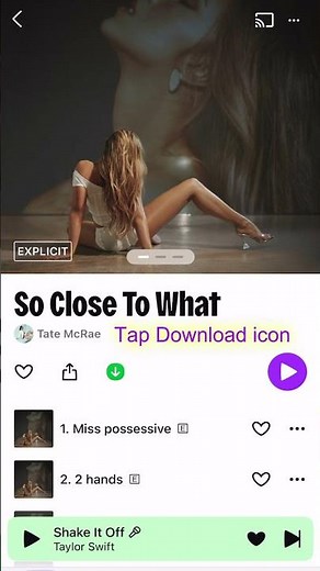 How to Download Deezer Tracks (Playlist/Album) for Offline Listening