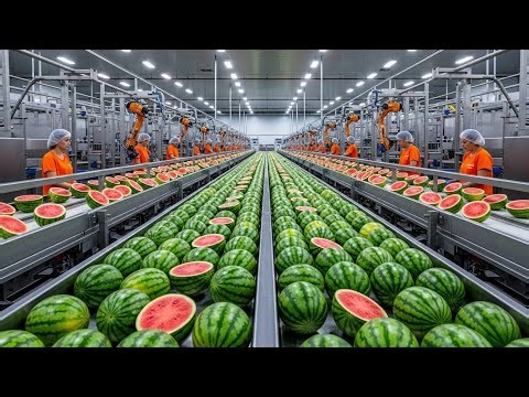 Inside a Modern Watermelon Juice Factory | Cold-Pressed & HPP Juice (Full Process)