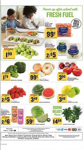 Food Lion Weekly Ad 08/05 - 08/11