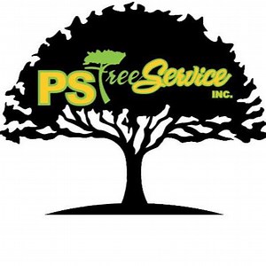 PS Tree Service | Holbrook MA