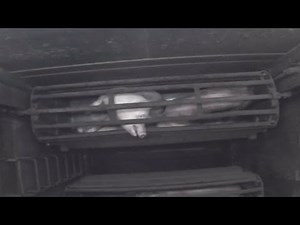 Dominion (2018): Pig Gas Chamber