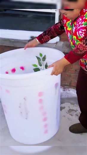 Engaging Discussions: Share Your Thoughts and Opinions