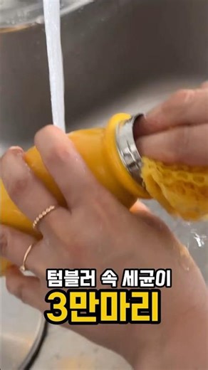 텀블러세정제