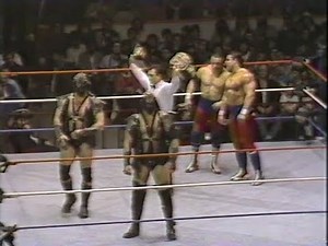 Demolition (c) vs. The British Bulldogs - WWF Tag Team Titles (11.06.1988)