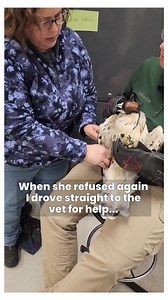 30K views · 896 reactions | Watermelon Sugar on Reels | Facebook