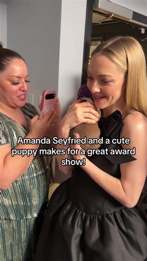 Amanda Seyfried and a cute puppy makes for a great award show! #amandaseyfried #awards #hollywood #fyp