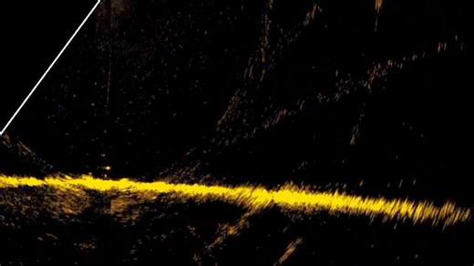 3.2K views · 31 reactions | Forward Facing Sonar is the most...