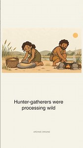 People Made Bread Before Farming