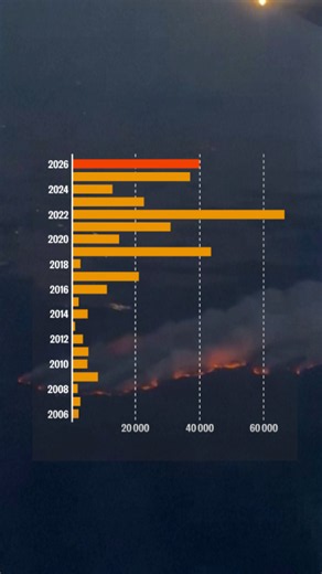 Début juillet, le niveau de surfaces brûlées s'approchait déjà des maximums enregistrés en France depuis 2006. Depuis le début de l'été officiel, le 21 juin, près de 12 000 hectares ont brûlé en France hexagonale. #Incendie #FeuxdeForêt #Secheresse #Data #France #sinformersurtiktkok
