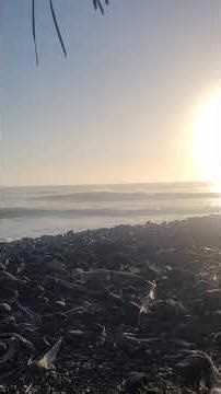 Ep12: Does the sun look like a giant alien orb ship?