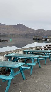My favourite spot to hang out . So still and so quiet here this morning 🥰. | Dermot Healy