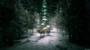 Christmas, Deer, Reindeer. Free Stock Video
