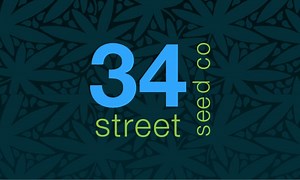 Seed Starter Kit | 34 Street Seed Co