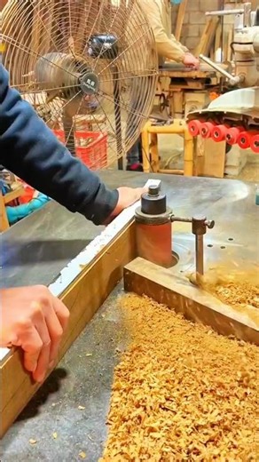 Wood shaper hums through edge—hands guide grain as shavings scatter across busy workshop rhythm.