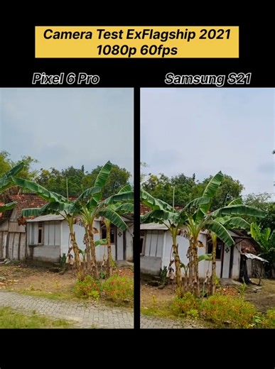 Samsung Galaxy S21 vs Google Pixel 6 Pro Features Comparison