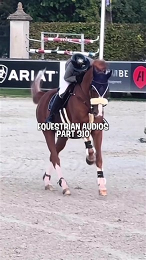 Equestrian Love: Best Horse Riding Sounds and Songs