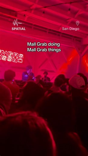 Mall Grab's Unique Style in Electronic Music