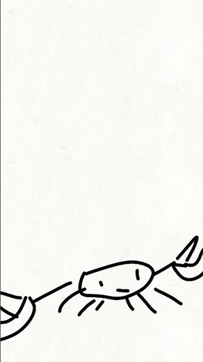 Dancing crab meme!!!