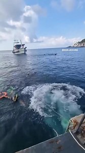 Have you ever been in a precarious situation while you've been scuba...