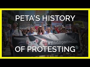 How Years of PETA Protests Have Made Changes for Animals