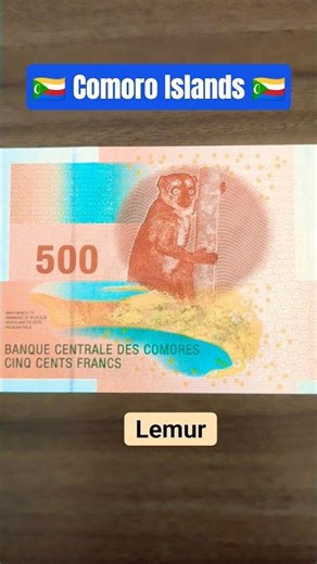 Comorian 500 franc 🇰🇲