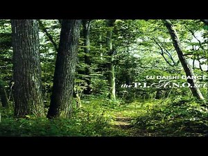 Daishi Dance - P.I.A.N.O.