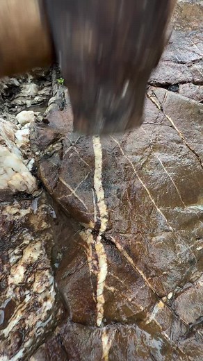 Gold Coated with Quartz: Nature's Hidden Treasure