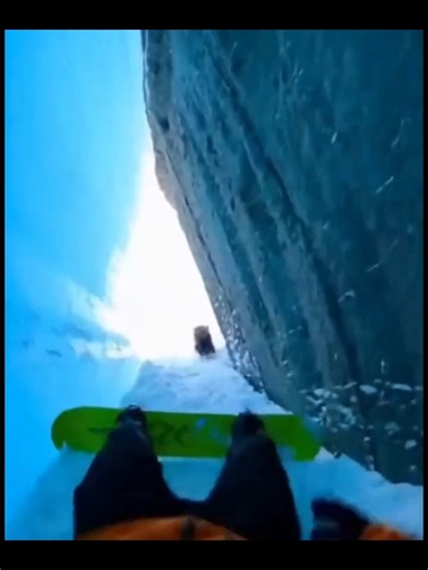 วินาทีเผชิญหน้ากับหมาป่าอัลฟ่า