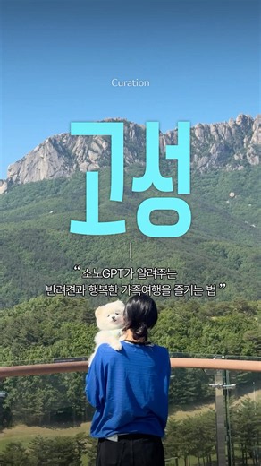 [소노GPT] 올여름, 반려견과 행복한 가족여행을 즐기는 법 (with 소노펠리체 빌리지 델피노)