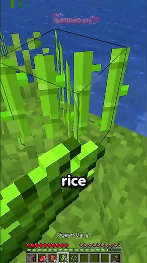 Minecraft, but i can only tell LIES! #minecraft #shorts