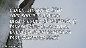 Explicación Números 35:23. 'o bien, sin verlo, hizo caer sobre él alguna piedra capaz de matarlo, y muere, pero él no era su enemigo ni procuraba su mal,' - BibliaBendita