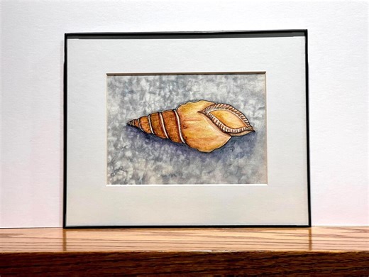 Seashell Watercolor Painting Original Coastal Wall Art Framed 5x7 Beach House Decor Nautical Artwork - Etsy