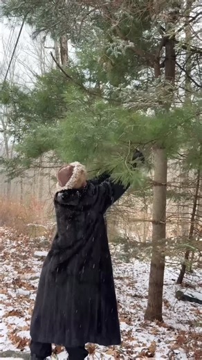 Nara Smith on Instagram: "have you heard of this tradition?🎄"