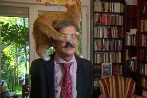 Children, Canines or Felines Interrupting Your Interview? 4 Pros Demonstrate How to Keep Your Cool.