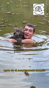 581K views · 10K reactions | Dia de levar o Ravi pra fazer seu exercício na água! Autorização de Manejo SEMAD N. 513252 | Tiago Jácomo | Facebook