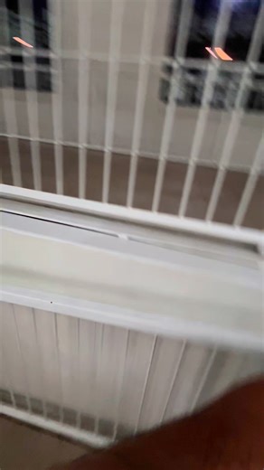 National Museum of Natural History #SirMichael | Sir Michael