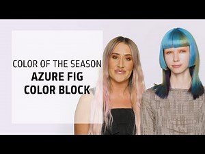Azure Fig Color Block Tutorial | Goldwell Color of the Season | Goldwell Education Plus