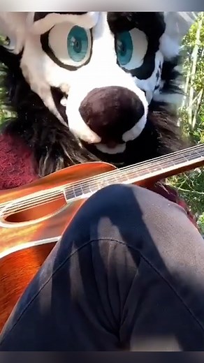 30K views · 130 reactions | I have an interest in animals that do human things - I'm a furry  #reels #viral #hookedonthelook #truly #furry #animal #blinddate #dating | Hooked On The Look | Facebook