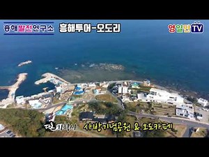 [ 포항 가볼만한 곳 추천 베스트 10 ]흥해 오도리 오도카페 & 사방기념공원 관광명소 경북 포항 최고의 관광명소 12월 2일