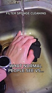 1.2M views · 7.4K reactions | Washing an aquarium sponge filter under tap water isn't that bad is it? . . . #fishkeepinghobby #aquariumhobby #fishtok | New Life Aquarium Keysborough | Facebook