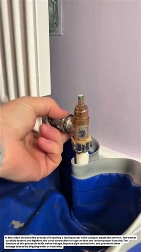 Fixing a Leaky Valve with Adjustable Wrench | Simple Plumbing Repair Trick.