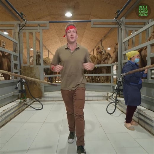 Eating a 1,000 Pound Camel! 😱 | Best Ever Food Review Show