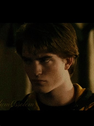 Exploring Hufflepuff Traits in Harry Potter