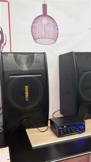 🔥AK45 audio amplifier. Bring you stunning music#woopker #speaker #audio #amp