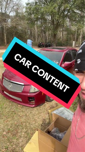 Improving Your Cat's Breathing: Tips and Tricks